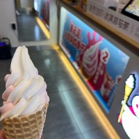 蜜雪冰城的双炫冰淇淋还不错！