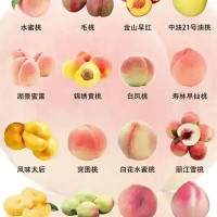 市场上常见桃子有这么多种？（一张图教你区分）