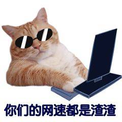 网速